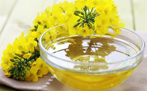 ��ν��͵��̴� �����̴��ķ���